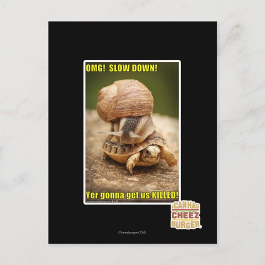 MACH! Langsam! Postkarte (Vorderseite)