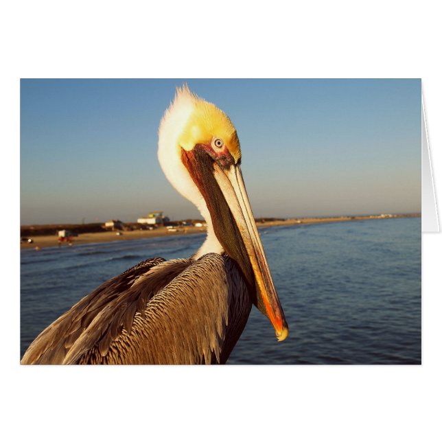 Mach mich rot! (Vorderseite (Horizontal))