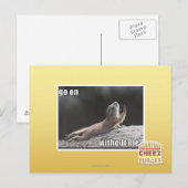 Mach mit mir! postkarte (Vorne/Hinten)