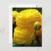 Mache mein Gelb Postkarte (Vorne/Hinten)