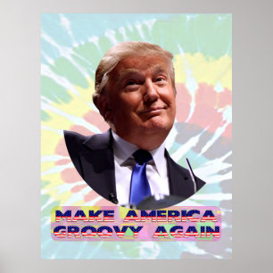 Machen Sie Amerika wieder zu einem Krawatte-Dye-Va Poster
