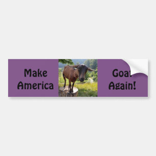 Machen Sie Amerika-Ziegen-wieder Autoaufkleber