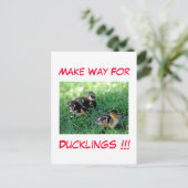 Machen Sie den Weg für Ducklings!! Postkarte (Stehend Vorderseite)