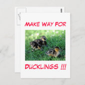 Machen Sie den Weg für Ducklings!! Postkarte (Vorne/Hinten)