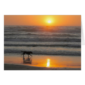 Machen Sie die die meisten von Ihrem Tag