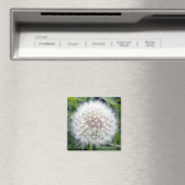 Machen Sie ein Wunschmagnet Magnet (In Situ (Geschirrspüler))