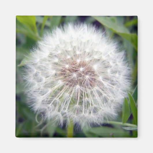 Machen Sie ein Wunschmagnet Magnet (Vorne)