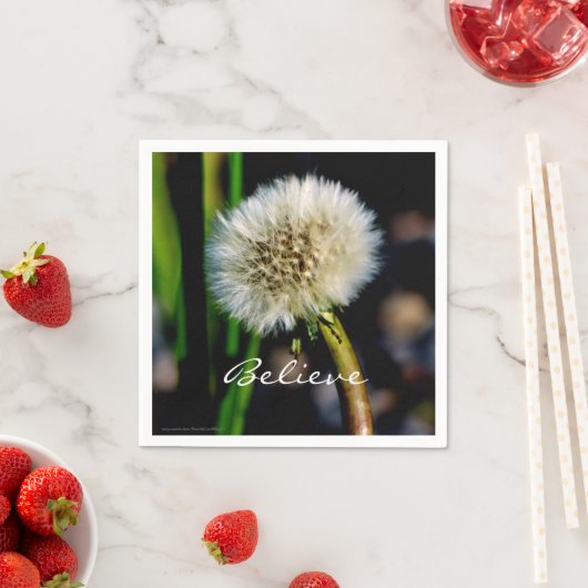 Machen Sie ein Wunschpapier, glauben, Leuchter Serviette (Beispiel)