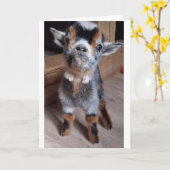 MACHEN SIE EINE BABYZIEGE EINE GÜNSTIGE "GLÜCKLICH KARTE (Gelbe Blume)