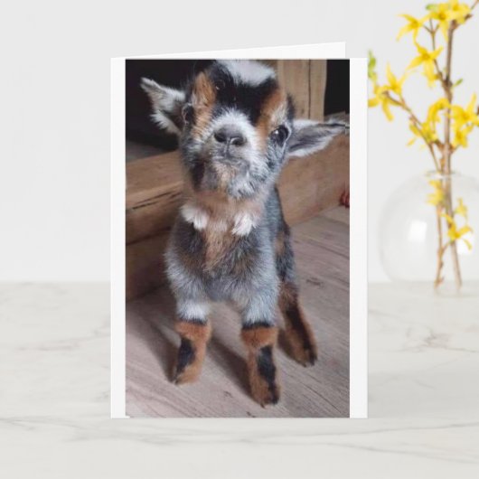 MACHEN SIE EINE BABYZIEGE EINE GÜNSTIGE "GLÜCKLICH KARTE (Gelbe Blume)