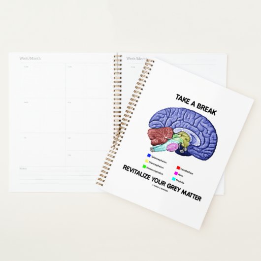Machen Sie eine Pause und beleben Sie Ihr Gehirn m Planer (Anzeige)