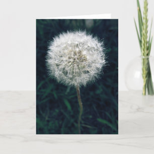 Machen Sie einen Wunsch Karte