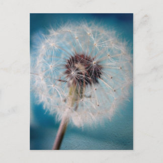 Machen Sie einen Wunsch Postkarte