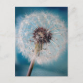 Machen Sie einen Wunsch Postkarte (Vorderseite)