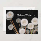 Machen Sie einen Wunsch Postkarte (Vorne/Hinten)