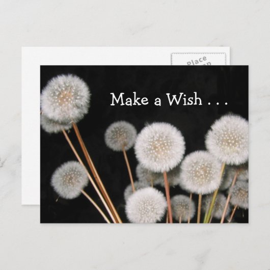 Machen Sie einen Wunsch Postkarte (Vorne/Hinten)