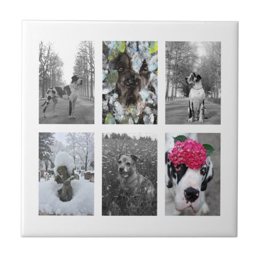 Machen Sie es zu einem großartigen Däne Fliese (Vorderseite)