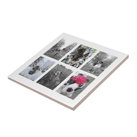 Machen Sie es zu einem großartigen Däne Fliese (Seite)