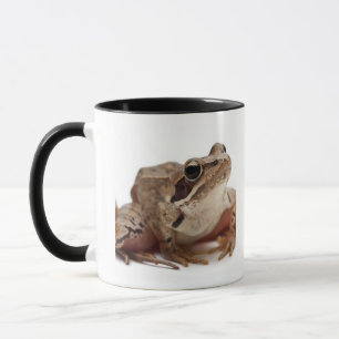 Machen Sie Frosch - Rana arvalis fest Tasse