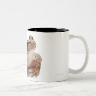 Machen Sie Frosch - Rana arvalis fest Zweifarbige Tasse