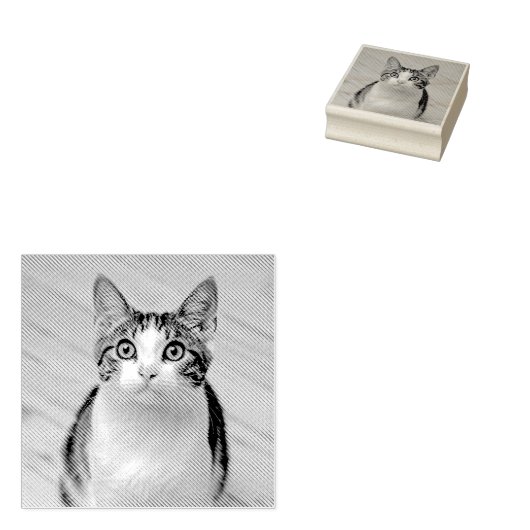 Machen Sie Ihr eigenes Foto Haustier Katze Tier Gummistempel (Stempel)