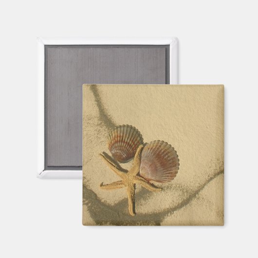 " Machen Sie Ihr eigenes Magnet - Beach Muscheln (Vorderseite/Rückseite)
