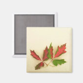 Machen Sie Ihr eigenes Magnet - Herbst-Button-Eich (Vorderseite/Rückseite)