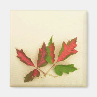 Machen Sie Ihr eigenes Magnet - Herbst-Button-Eich