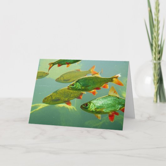 Machen Sie Ihre eigene Fotokarte Karte (Vorderseite)