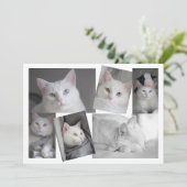 Machen Sie Ihre eigene Personalisierte Fotokassett Einladung (Stehend Vorderseite)