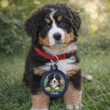 Machen Sie Ihre eigenen Foto-Kontaktdaten