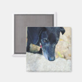 Machen Sie Ihre eigenen Lieblingsmagnete Magnet (Vorderseite/Rückseite)