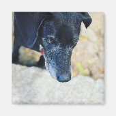 Machen Sie Ihre eigenen Lieblingsmagnete Magnet (Vorne)