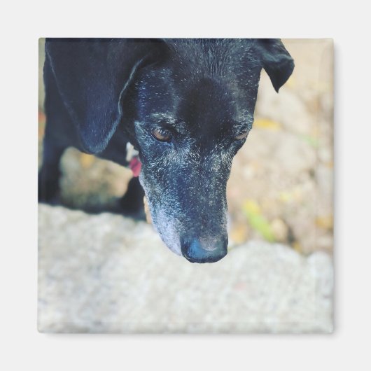 Machen Sie Ihre eigenen Lieblingsmagnete Magnet (Vorne)