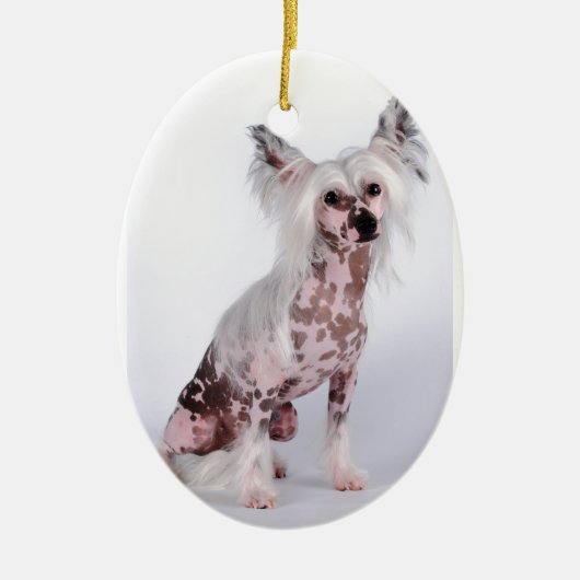 Machen Sie Ihre Selbst Keramik Ornament (Vorne)