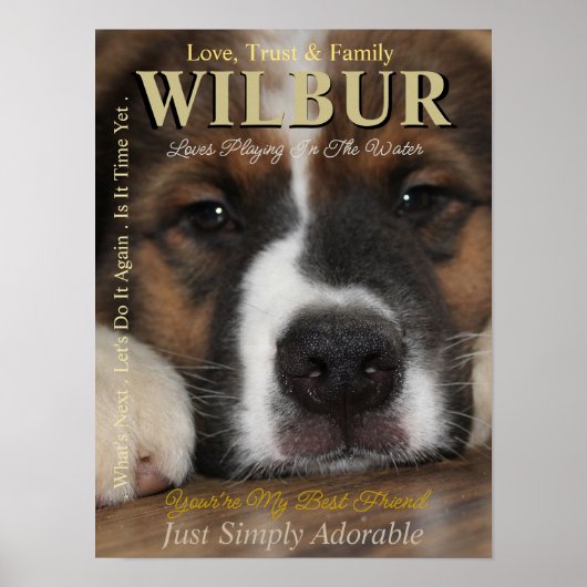 Machen Sie Ihren Haustier den Stern, den sie Zeits Poster (Vorne)