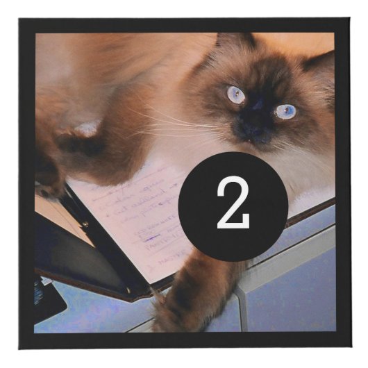 Machen Sie leicht Ihre Selbst mit fünf Ihrer Fotos Würfel (Rechts)