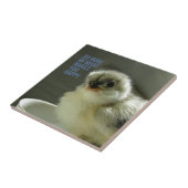 Machen Sie mehr von dem, was Sie glücklich macht,  Fliese (Seite)