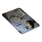 Machen Sie Platz für die Entenlings Magnet (Rechte Seite)