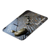 Machen Sie Platz für die Entenlings Magnet (Linke Seite)