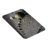 Machen Sie Platz für Ducklings! Magnet (Rechte Seite)