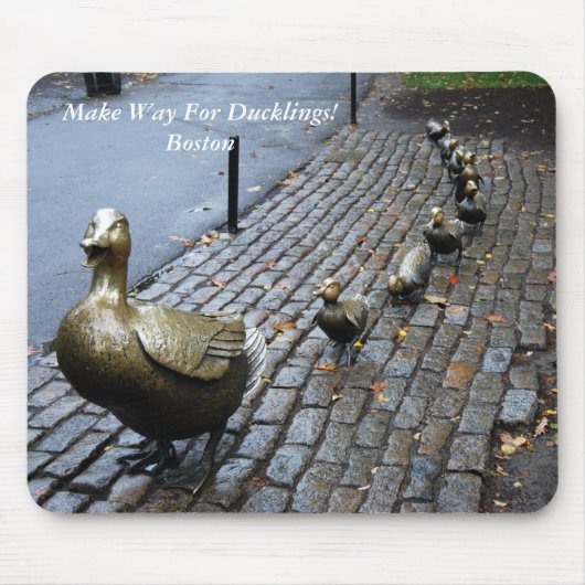 Machen Sie Platz für Ducklings! Mousepad (Vorne)
