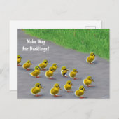 Machen Sie Platz für Ducklings! Postkarte (Vorne/Hinten)
