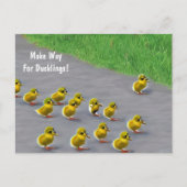 Machen Sie Platz für Ducklings! Postkarte (Vorderseite)