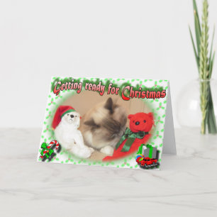 Machen Sie sich auf Weihnachten gefasst!
