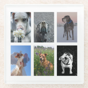 Machen Sie sich Ihre eigene Hundfotografie Glasuntersetzer