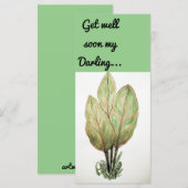 Machen Sie sich schon bald mit der Karte vertraut (Vorne/Hinten)