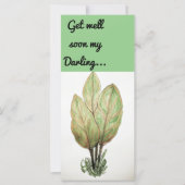 Machen Sie sich schon bald mit der Karte vertraut (Vorderseite)