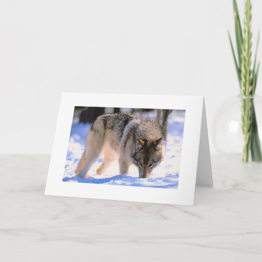 Machen Sie Weihnachts-Card Winterschneewolf Feiertagskarte (Vorderseite)