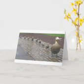 Machen Sie Weise für Entlein Karte (Gelbe Blume)